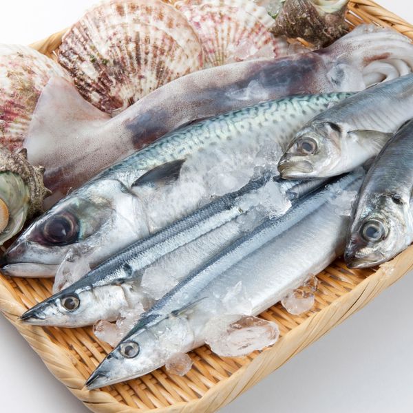 豊岡の割烹料理店・酒彩 奏では一品料理も多数取り揃えております