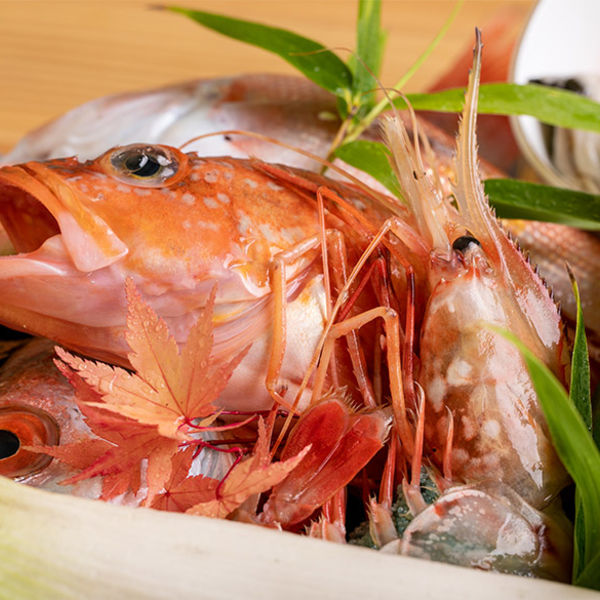 毎日旬の魚を仕入れてます。